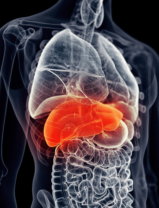 Protégez votre foie (Détox)